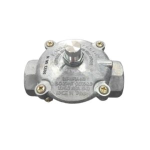 Natural Gas Regulator 1/2"